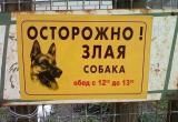 В Сургуте полицейские застрелили агрессивную собаку
