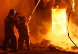 С начала года в Нягани произошло 9 пожаров