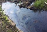 В Югре площадь загрязненных нефтепродуктами земель сократилась почти вдвое