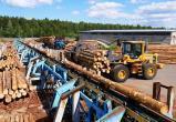 Правительство ХМАО сформировало инвестпроекты в сфере лесопользования на 5 млрд рублей