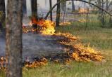 На территории Югры прогнозируют чрезвычайную пожароопасность