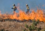В Югре тушат 23 лесных пожара