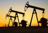 Нефтяников Югры заставят платить за неиспользуемые участки 100-кратные штрафы