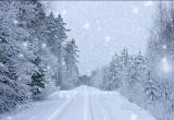 "Московские" снегопады идут в Югру
