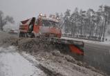 Власти Нижневартовска хотят растапливать и очищать снег