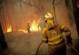 В Югре объявлен пожароопасный сезон