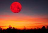 В ночь с 27 на 28 июля над Югрой взойдёт "кровавая" луна