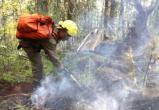 В Югре спасатели локализовали первый природный пожар в этом году
