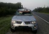 В Нефтеюганском районе водитель попал в больницу после столкновения с лосем