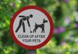 В Нягани поддержали инициативу об установлении штрафов для владельцев собак, которые нарушают правила выгула