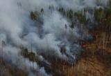 Югорчане обратились к Наталье Комаровой в связи с масштабными лесными пожарами