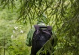Спасатели в Югре помогли заблудившимся в лесу людям