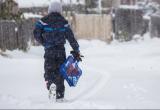 Сегодня в нескольких муниципалитетах ХМАО из-за морозов отменили занятия в школах