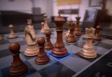 В Нижневартовске школьник изобрёл умные шахматы для детей с ОВЗ