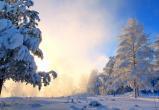 Днём 27 января в Югре ожидается 10-15 градусов мороза