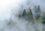В отдельных районах Югры наблюдается дымка, запах гари в воздухе