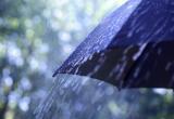 В большинстве районов Югры завтра ожидается кратковременный дождь, гроза