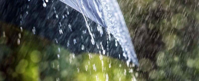 На большей части территории Югры в пятницу ожидаются дожди и грозы