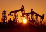 Наталья Комарова заявила, что запасов нефти в Югре хватит на 20-40 лет