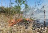 В Югре для тушения лесных пожаров задействовали дополнительные воздушные суда