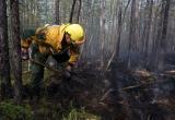 МЧС: Сложная обстановка из-за лесных пожаров наблюдается в Советском, Октябрьском и Березовском районах Югры