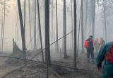 В Югре ликвидировали все природные пожары