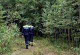 За минувшие выходные спасатели «Центроспас-Югории» 6 раз выезжали на поиски пропавших грибников