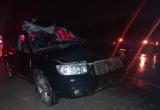 В Сургутском районе водитель «Субару Форестер» сбил лося. ФОТО