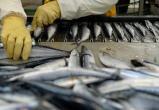 В Югре хотят восстановить Берёзовский рыбный завод