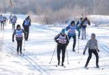 Учащиеся няганских школ начали подготовку к сдаче норматива ГТО «Бег на лыжах»