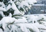 В большинстве районов Югры в воскресенье ожидается снег