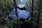 На трассе в Советском районе 38-летний водитель «Nissan» сбил лося. ФОТО