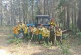 Огнеборцы Авиалесоохраны Югры помогли стабилизировать лесопожарную обстановку в Алтайском крае