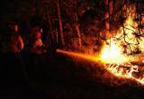 24 лесных пожара тушат в Югре