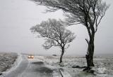 Водителей предупреждают о неблагоприятных погодных условиях