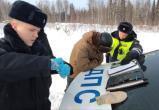 В Югорске госавтоинспекторы задержали "закладчика" из Иркутской области