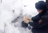 Около 1 кг мефедрона изъяли полицейские у жительницы Ханты-Мансийского района