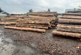 Тюменская таможня перекрыла канал контрабанды леса на 3 миллиона рублей