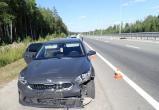 На трассе в Советском районе насмерть сбили медведя