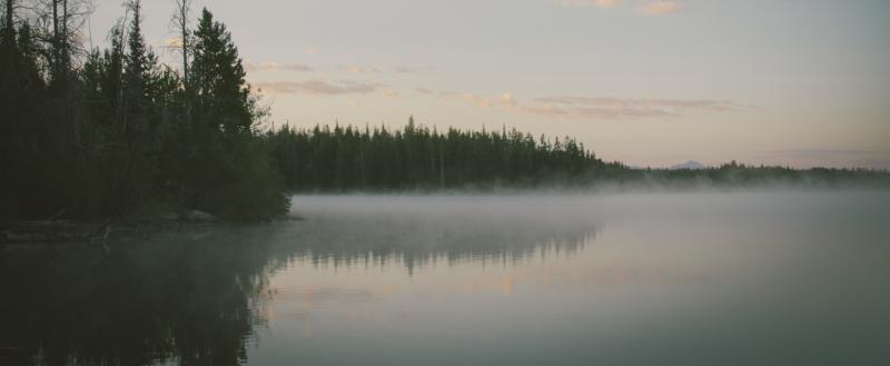https://pxhere.com/ru/photo/99415