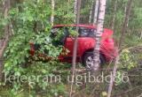 Госавтоинспекция Югры Госавтоинспекция Югры