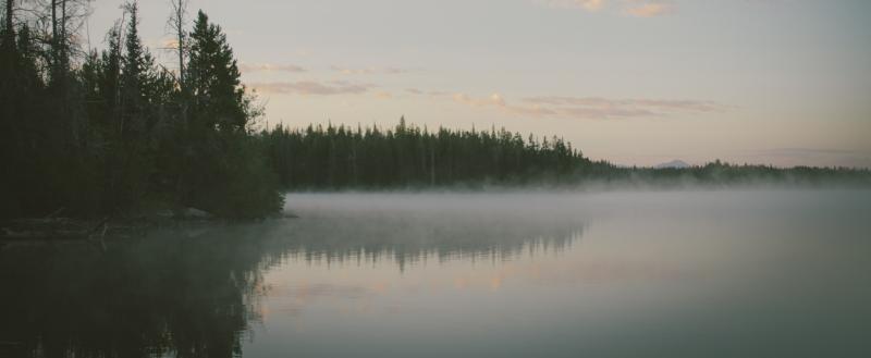 https://pxhere.com/ru/photo/99415