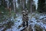 В Октябрьском районе сборщик шишек застрелил в лесу другого сборщика, перепутав с медведем