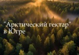 Росреестром осуществлен государственный кадастровый учет первых «арктических гектаров» Югры Росреестром осуществлен государственный кадастровый учет первых «арктических гектаров» Югры