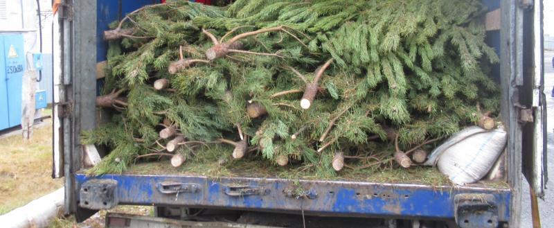 пресс-служба Тюменской таможни