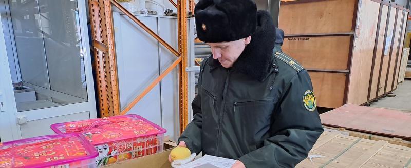 пресс-служба Уральского таможенного управления