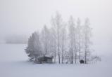 В понедельник, 8 декабря, в Югре будет морозно