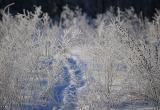 В Югре ожидается аномально-холодная погода - температура воздуха будет ниже нормы на 15 градусов