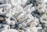 До 44 градусов мороза ожидается в Югре завтра