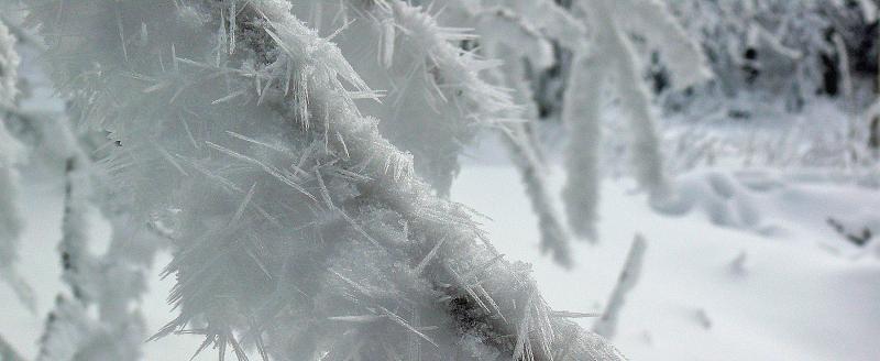 В период с 21 по 26 февраля местами по Югре ожидается аномально-холодная погода